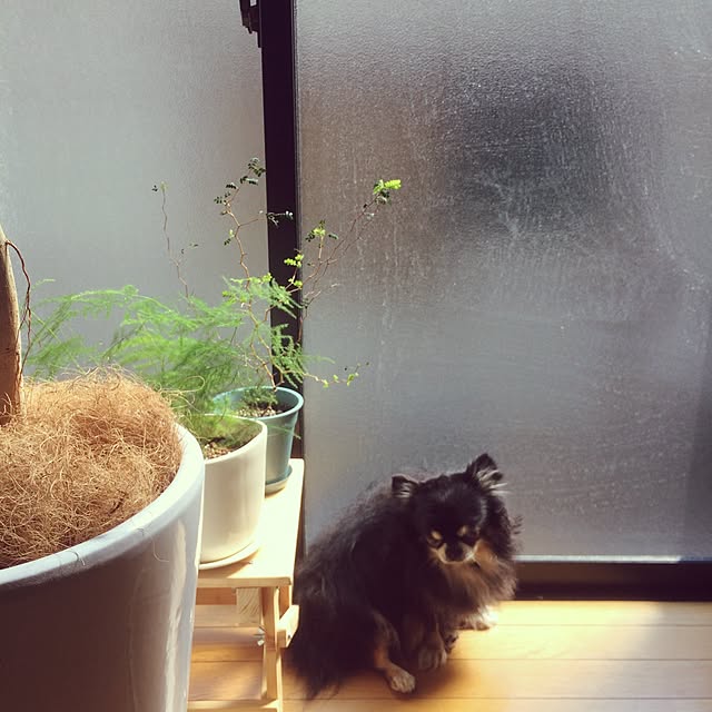 yukaさんの実例写真