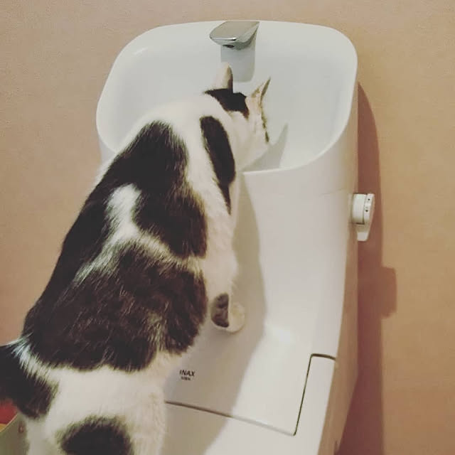 Sakasanさんの実例写真