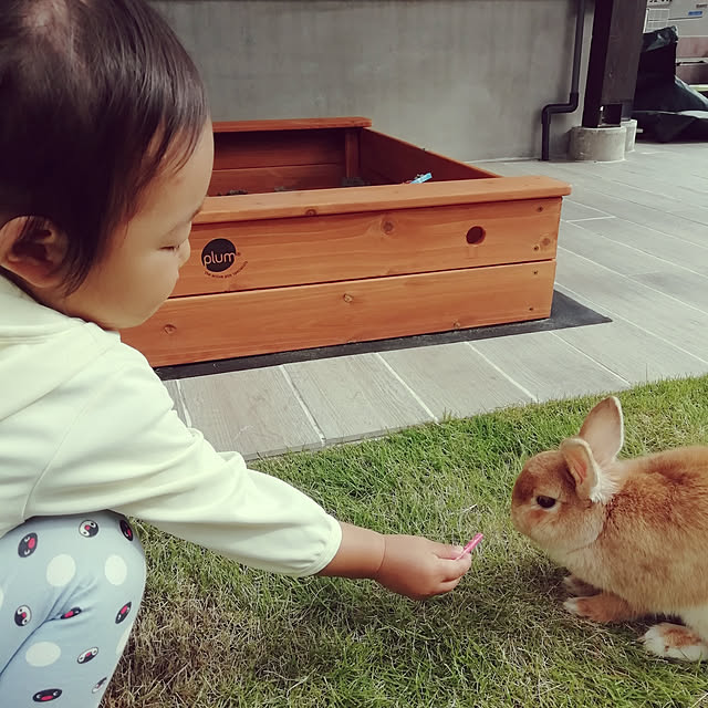 maimaimaikoさんの実例写真