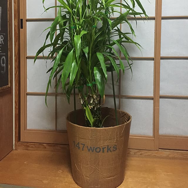 kiyomiさんの実例写真