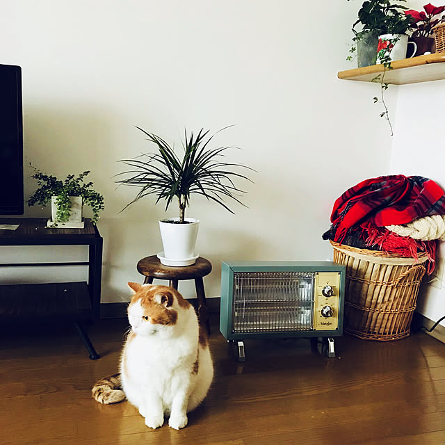 mayuroさんの実例写真