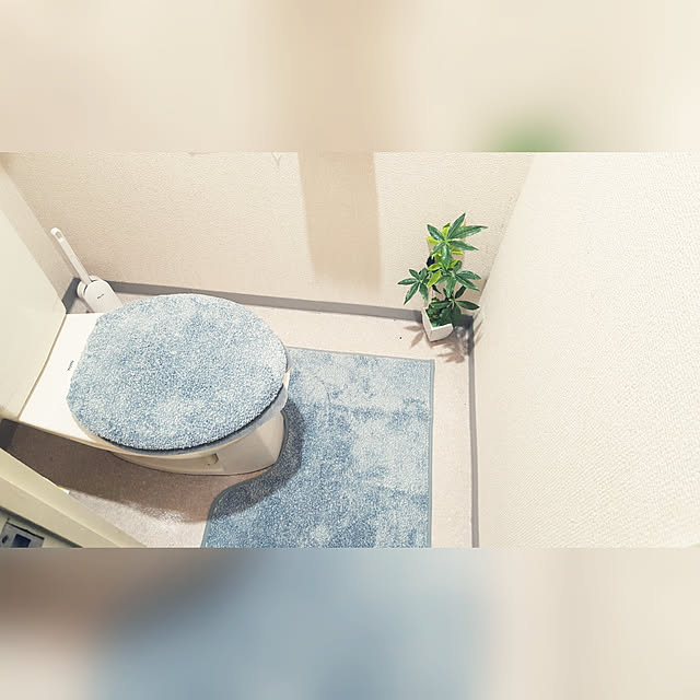 guricoさんの実例写真