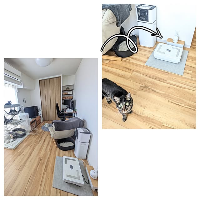 hihaさんの部屋