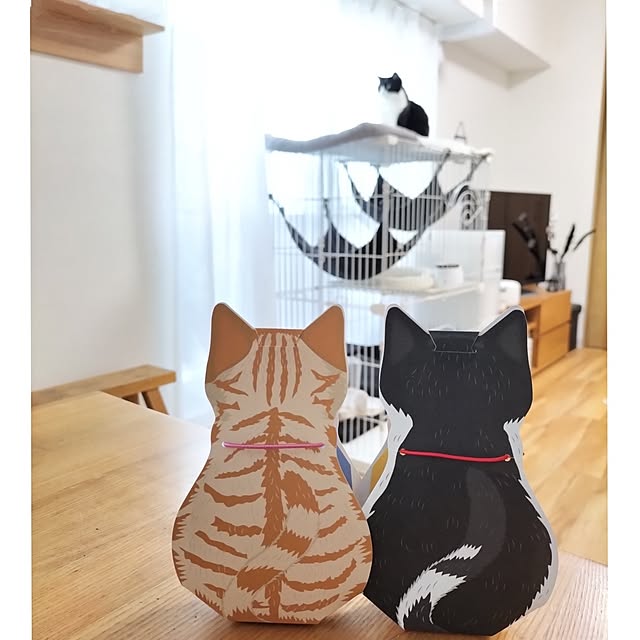 hihaさんの部屋
