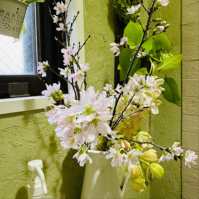 mizucchiさんの部屋