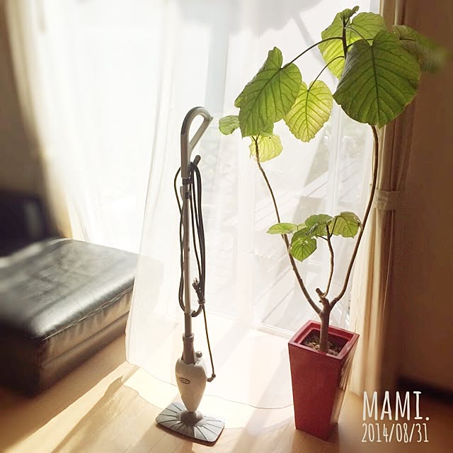 mami.さんの実例写真