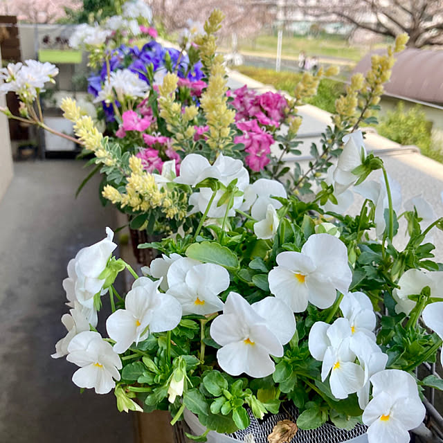 marukoさんの部屋