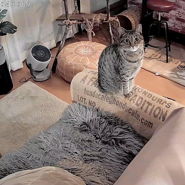 Mさんの実例写真