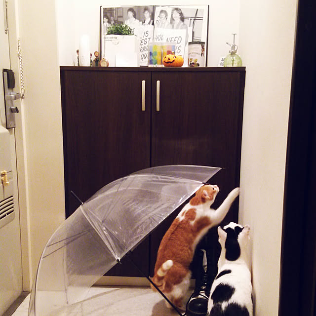 noguchiken0102さんの実例写真