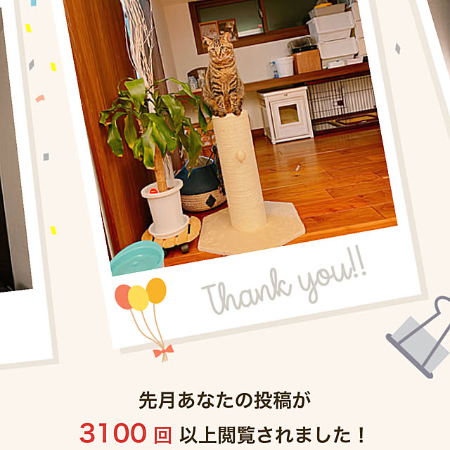 Rubyさんの実例写真