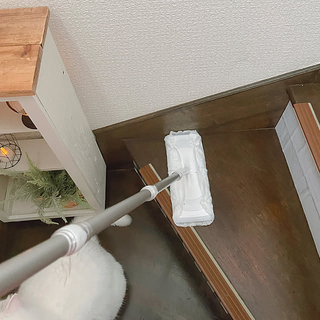kotoriさんの部屋