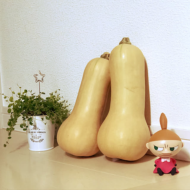 miechuraさんの実例写真