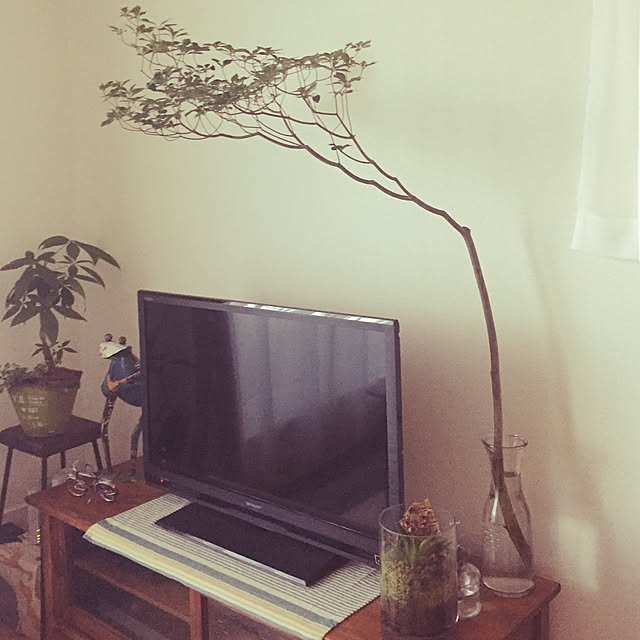 hamasakitakahiro1224さんの実例写真
