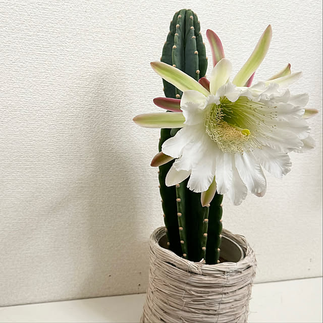 minu5656さんの部屋