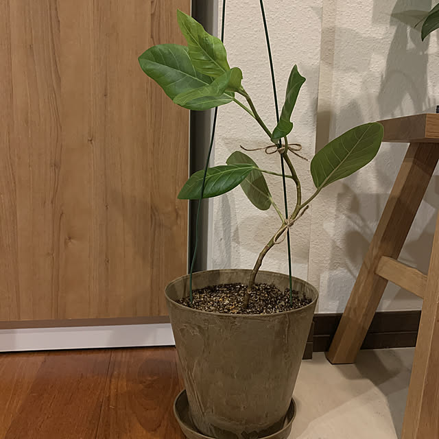 1TAさんの実例写真