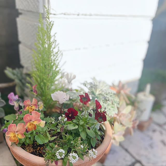 rookuさんの実例写真