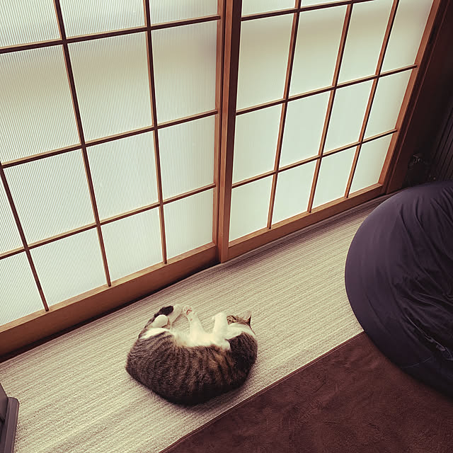 nanohanaさんの実例写真