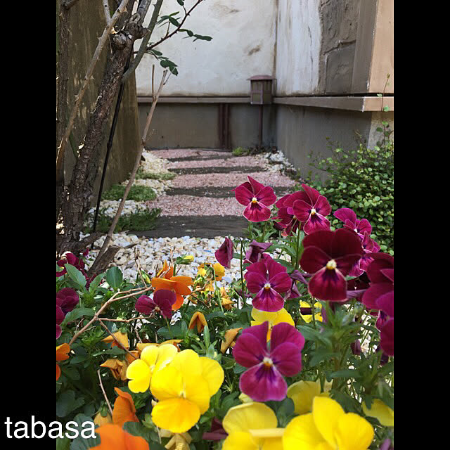 tabasaさんの実例写真