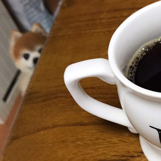 e-aiaiさんの実例写真
