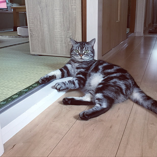 richanさんの実例写真