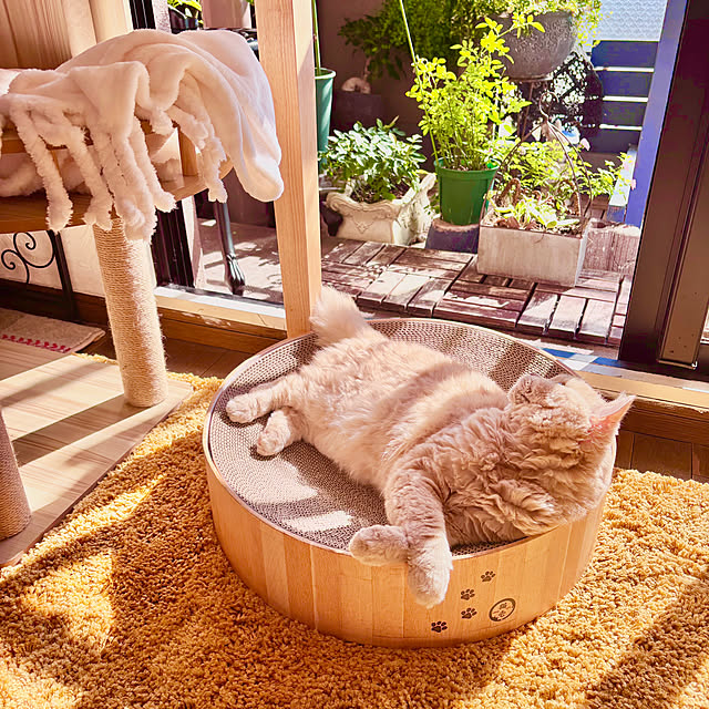 naokoさんの実例写真