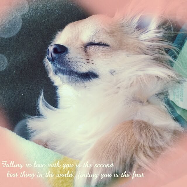 yukiさんの実例写真
