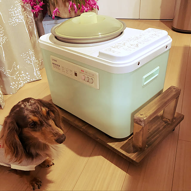 cocoaさんの実例写真