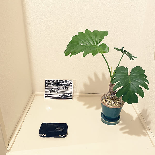 akimaruさんの実例写真