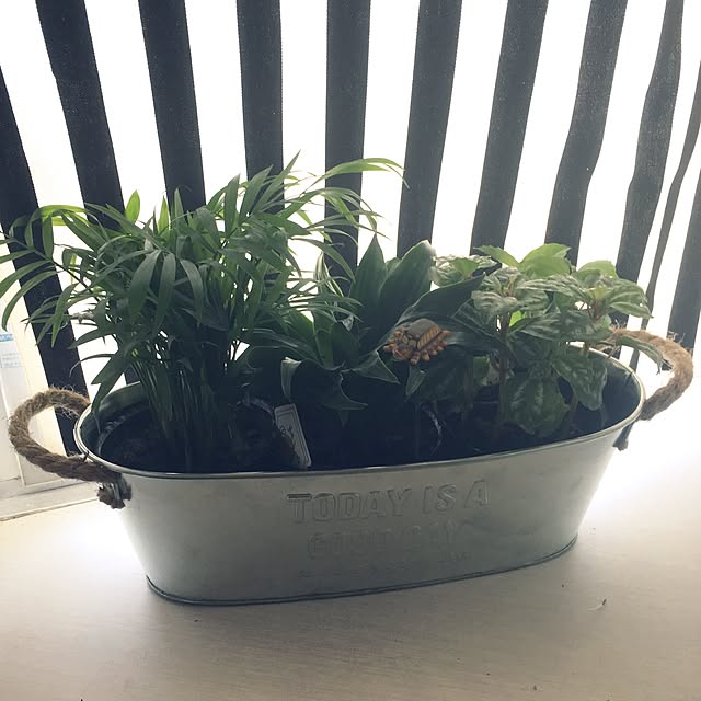 csmさんの実例写真