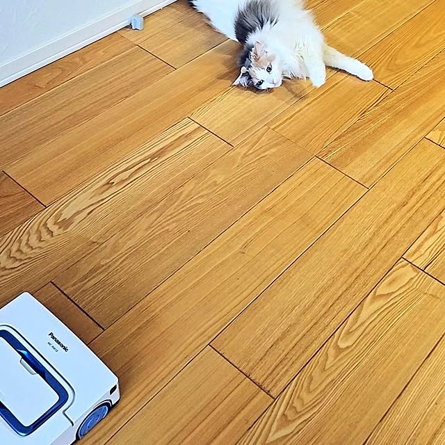 akiko6193さんの部屋