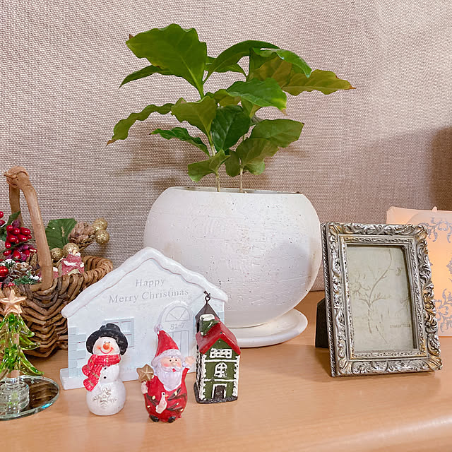 クリスマスディスプレイ/リビングのインテリア実例 - 2020-12-05 21:41:50