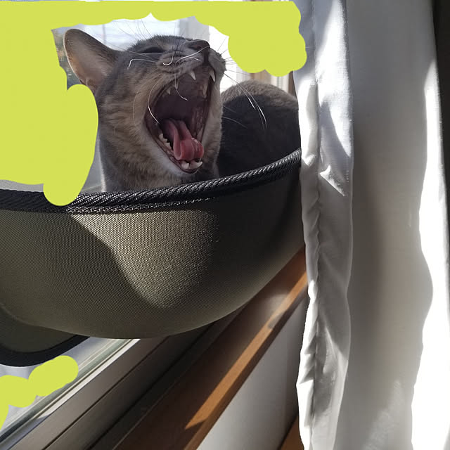 yukiさんの実例写真