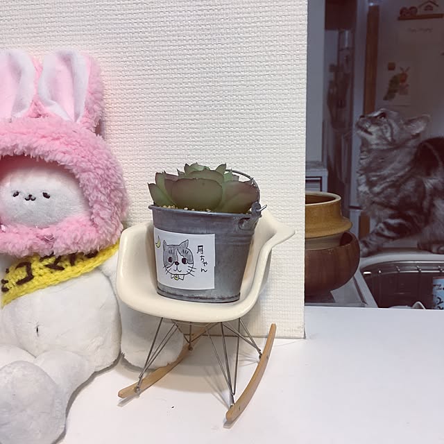 mikomaruさんの実例写真