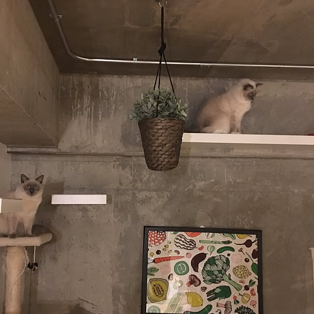 uzutomさんの実例写真