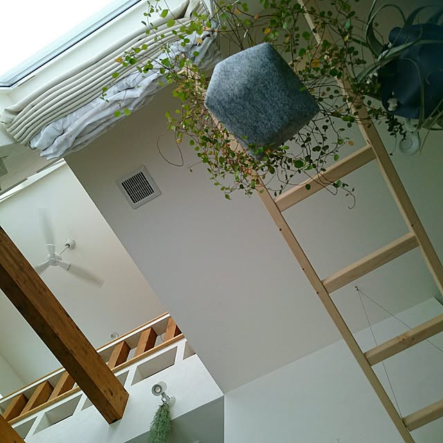 Nさんの実例写真