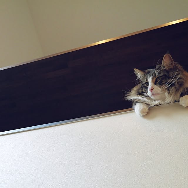 tongarihouseさんの実例写真