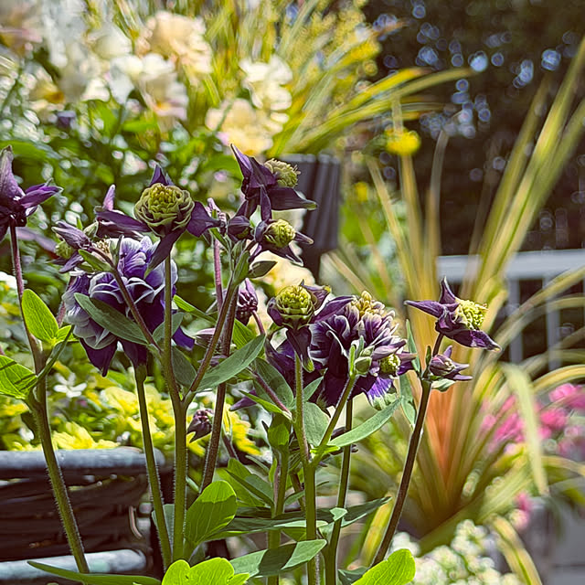 DAYONEさんの実例写真