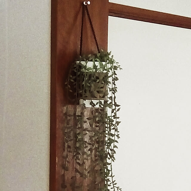 AllMeさんの実例写真