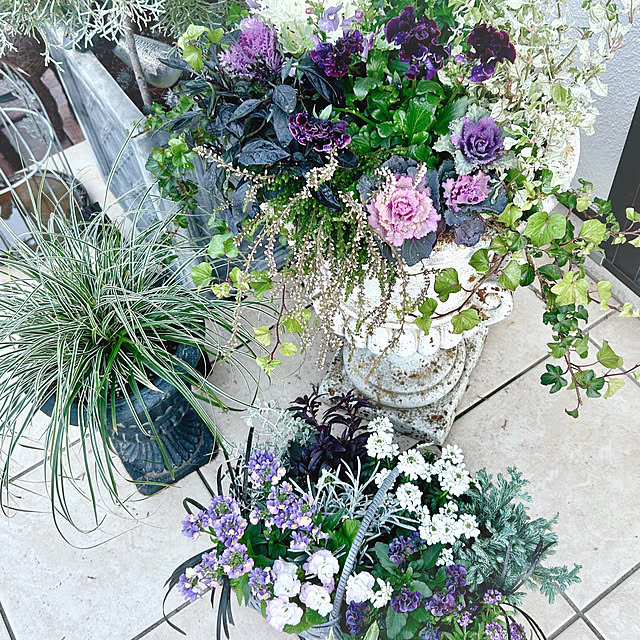 soraさんの実例写真