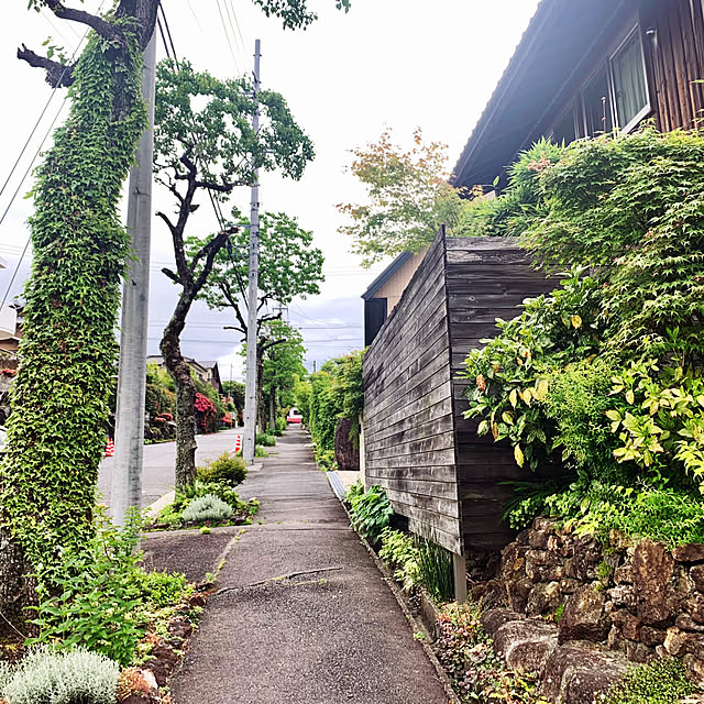 onsix777さんの実例写真