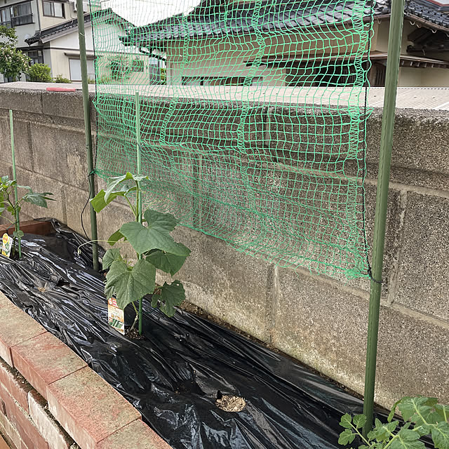 yuu.oさんの実例写真