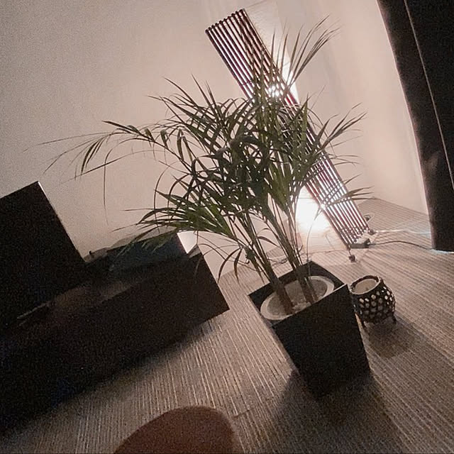 jasmineさんの実例写真