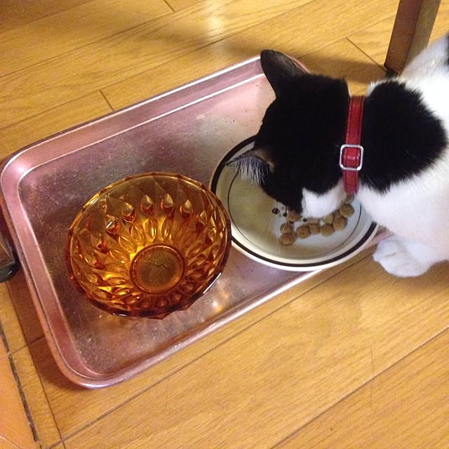 tomocchiさんの実例写真