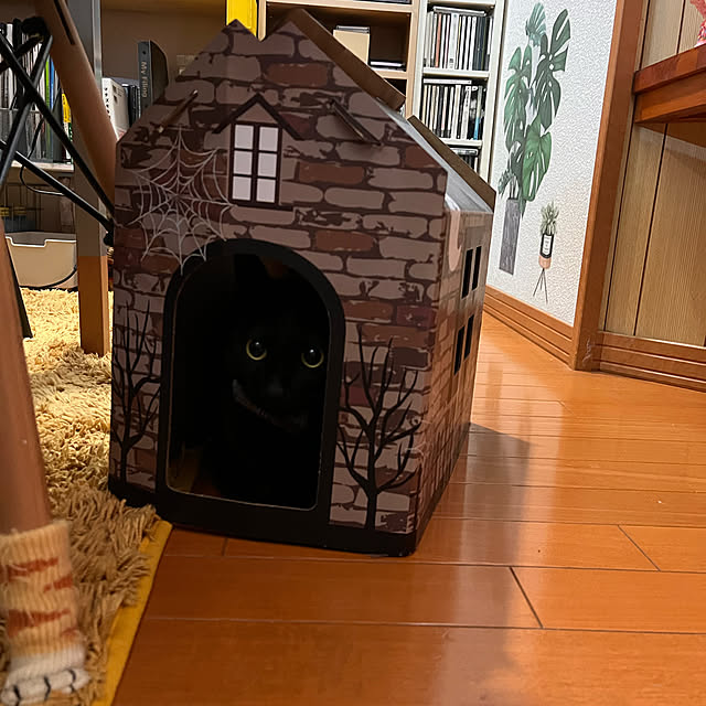 jijiさんの実例写真