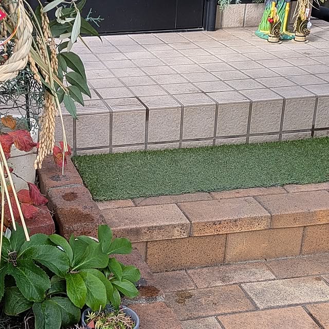 mori_6_12さんの実例写真