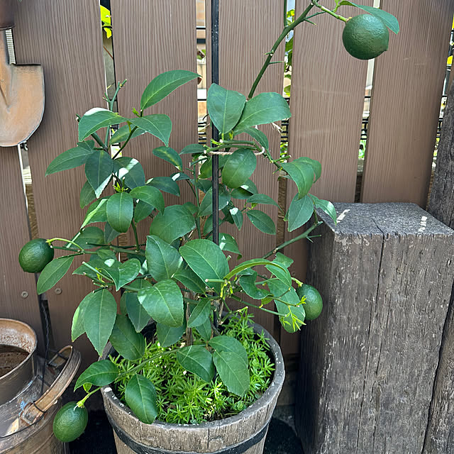 tabasaさんの部屋