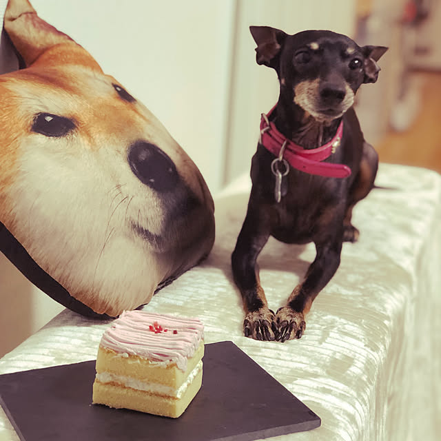 jolisukeさんの実例写真