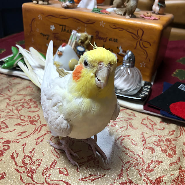 kana1004さんの実例写真