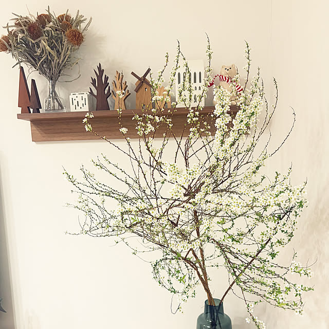 Yasunaさんの実例写真