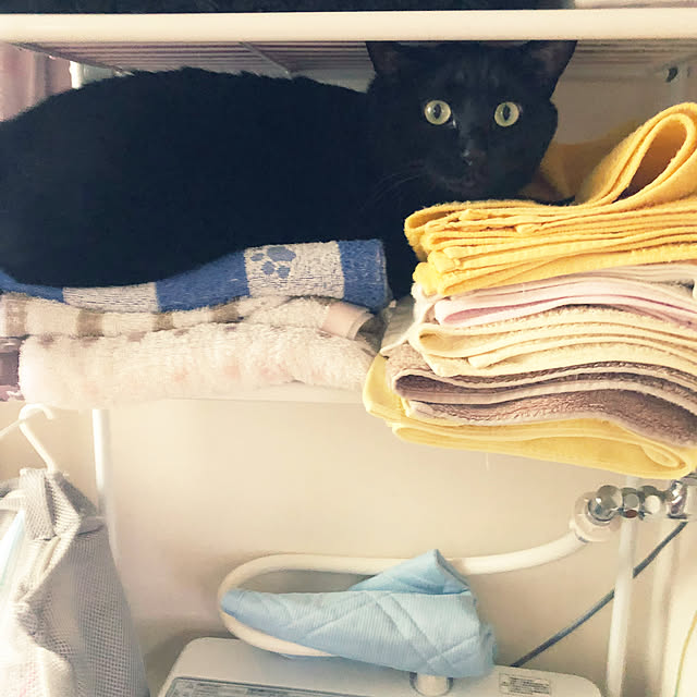 nyaさんの実例写真